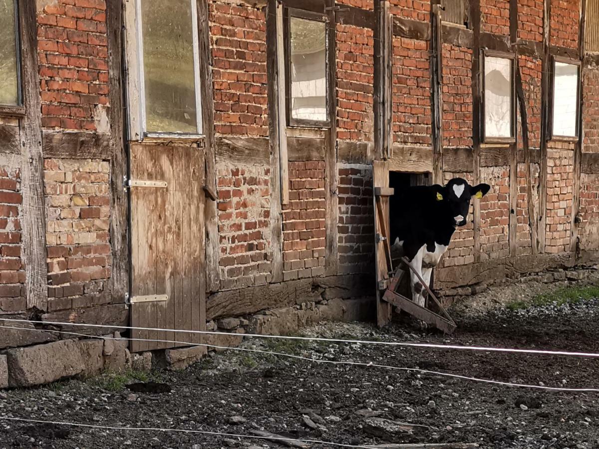 Ferienhof Ehlers Hulsede Bagian luar foto